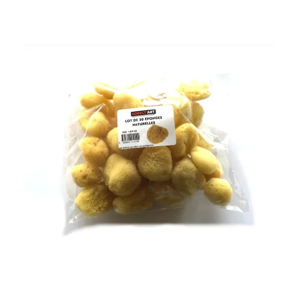 Sachet de 25 mini-éponges naturelles Corect'Art