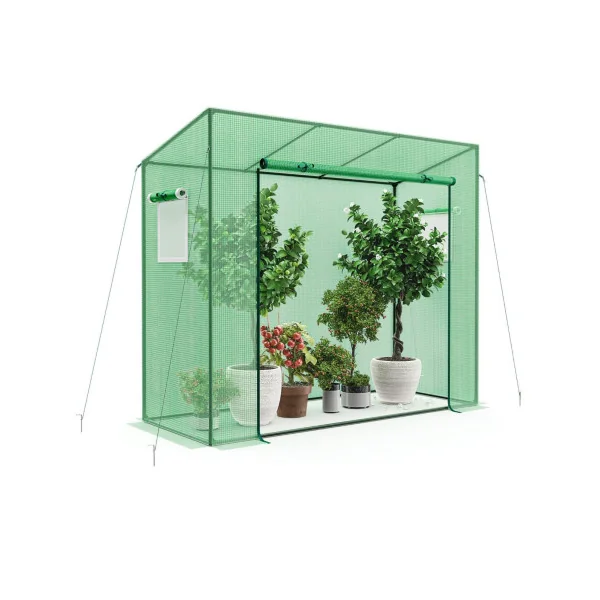 Serre de Jardin 200x77x169 cm Serre Tomate Serre Potager Serre Plantation