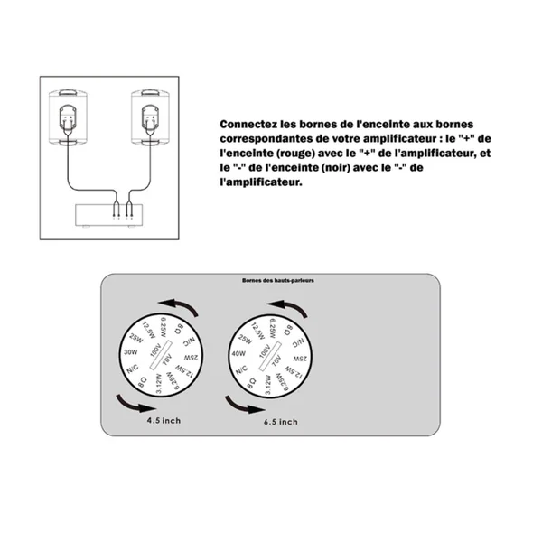 SKIFF 708B IP66 Enceinte murale 40-20-10 Watts 100 V