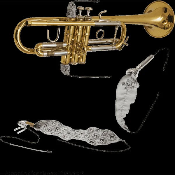 SML Paris CO50 - Cornet en Sib Verni avec Kit d'Entretien BG