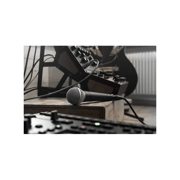 SSE SM58SE Microphone dynamique cardioide avec interrupteur