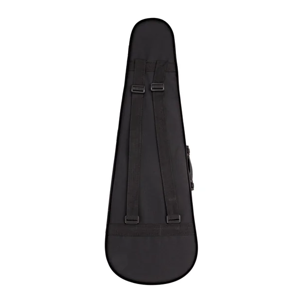Stagg Violon 4/4 Transparent Noir