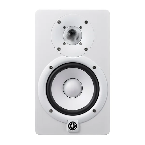 STOCK B - BUNDLE 2 HS5 W + 2 CABLES jack - XLR
