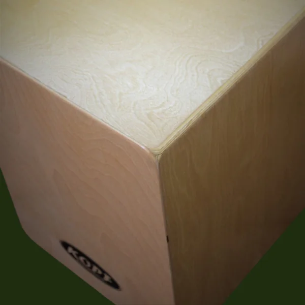 Student Series Cajon Junior