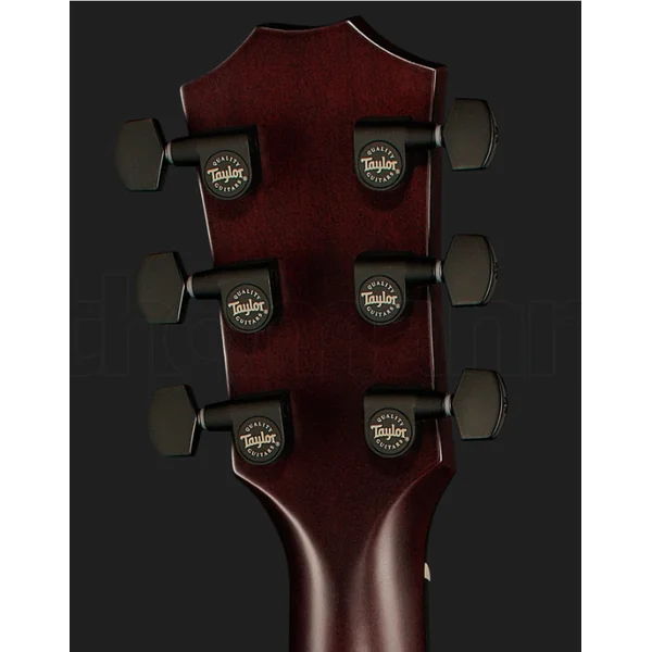 T5z Classic Koa - shaded edgeburst