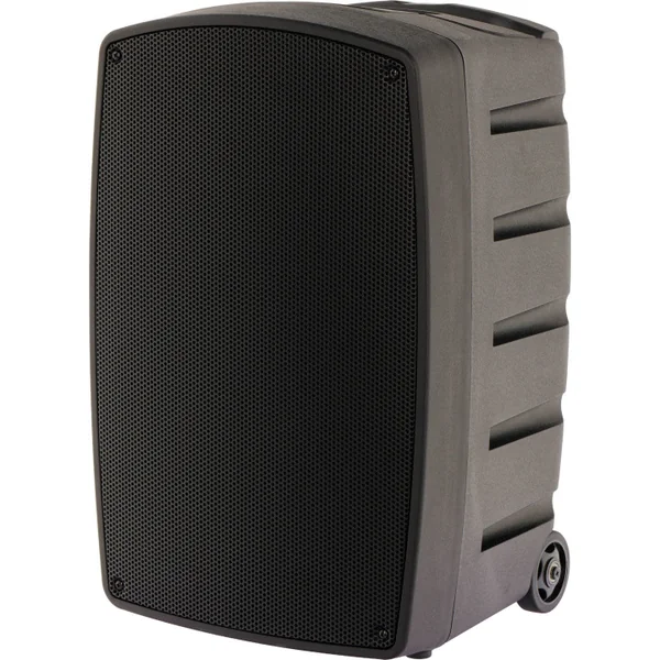 TR12-BT Enceinte amplifiée 120 Watts avec 2 Micros UHF