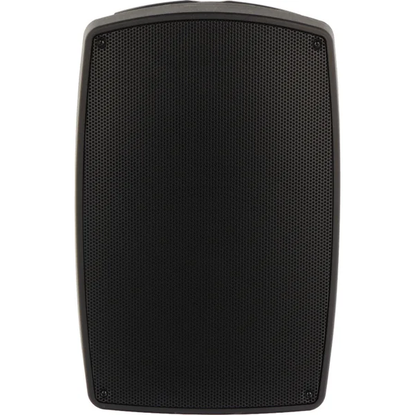 TR12-BT Enceinte amplifiée 120 Watts avec 2 Micros UHF