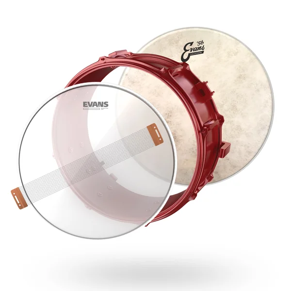 Tune Up Calftone Pour Caisse Claire 14"