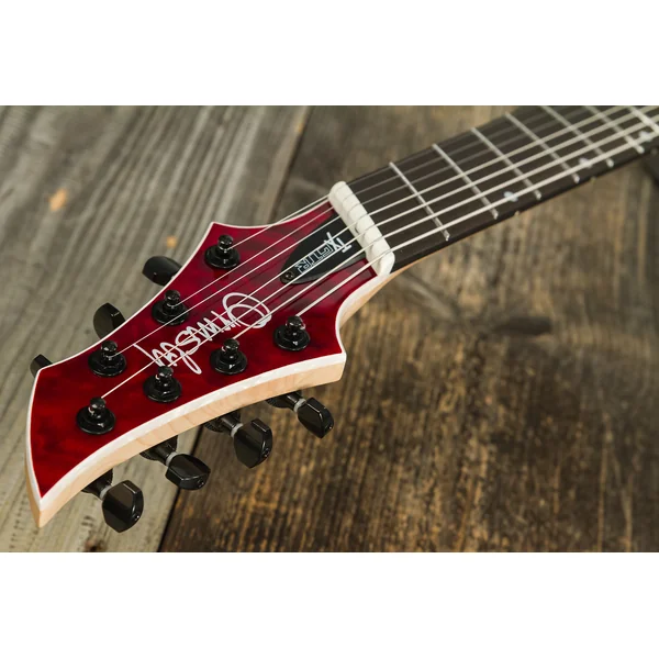 TX GTR Exotic 7-string - bloodbath