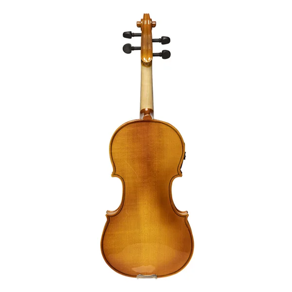 Violon 4/4 électrique érable massif & soft-case standard