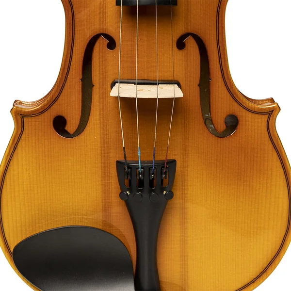 Violon 4/4 électrique érable massif & soft-case standard