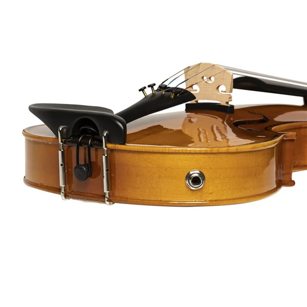 Violon 4/4 électrique érable massif & soft-case standard