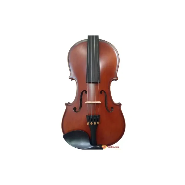 Violon Aiersi 4/4