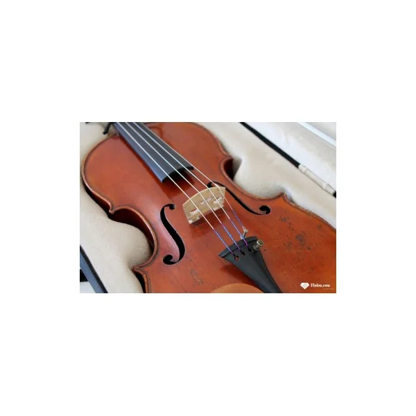 Violon Didelot dos 1 pièce 1830-1840