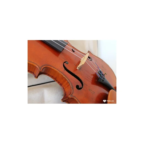 Violon Didelot dos 1 pièce 1830-1840