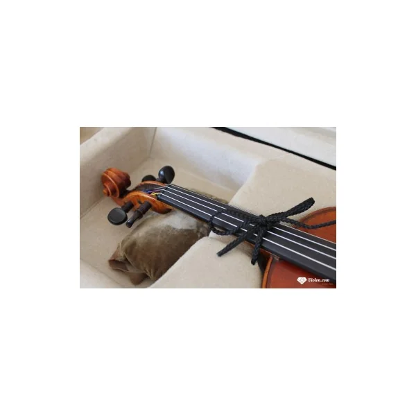 Violon Didelot dos 1 pièce 1830-1840