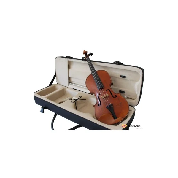 Violon Didelot dos 1 pièce 1830-1840