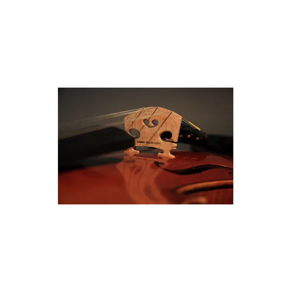Violon d'étude avec boite et archet