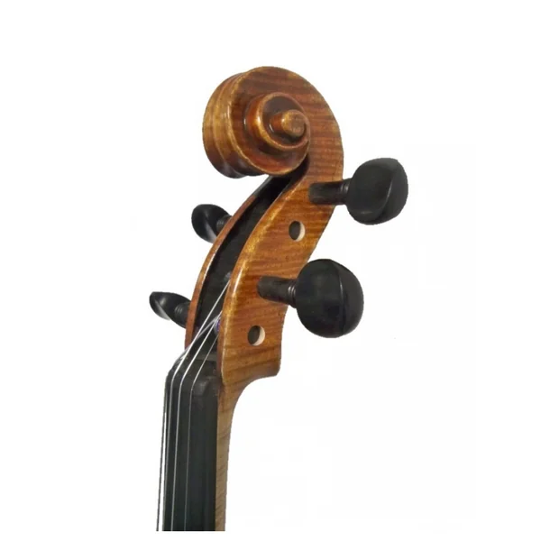 Violon d'étude avec boite et archet
