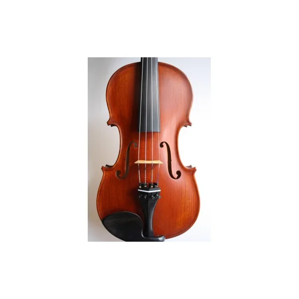 Violon Gliga Gems 1 4/4 gaucher