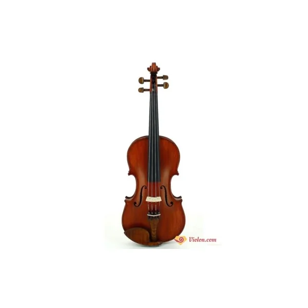 Violon Gliga Gems 2 Gloria 4/4