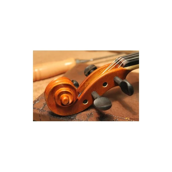 Violon Gliga Genial 1 4/4