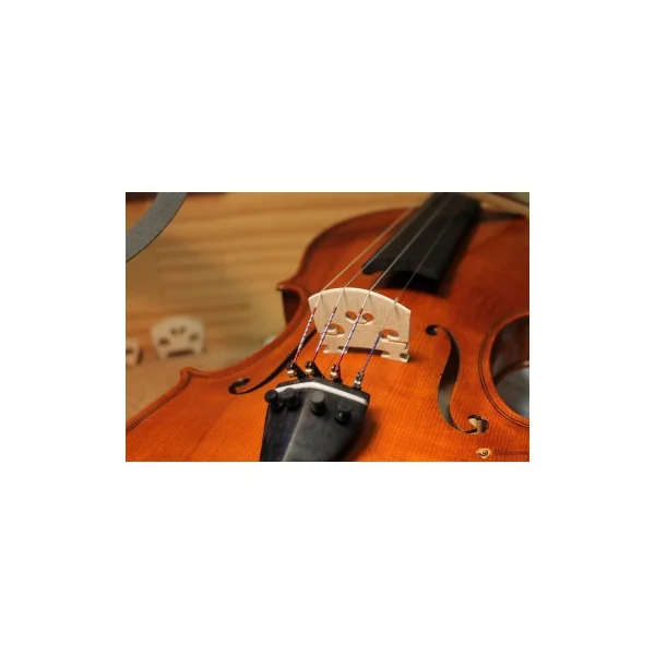 Violon Gliga Genial 1 4/4