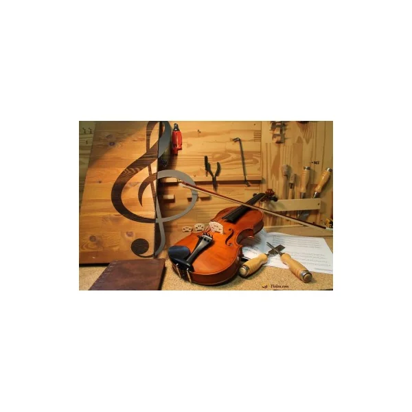 Violon Gliga Genial 1 4/4