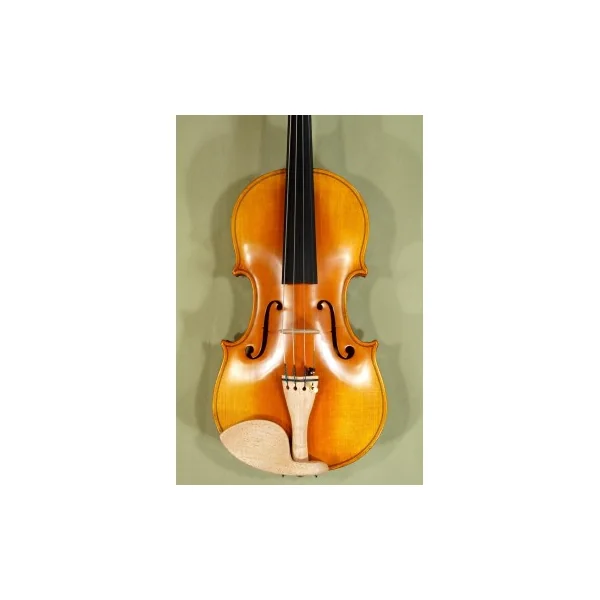 Violon Gliga Vasile copie Amati 1572