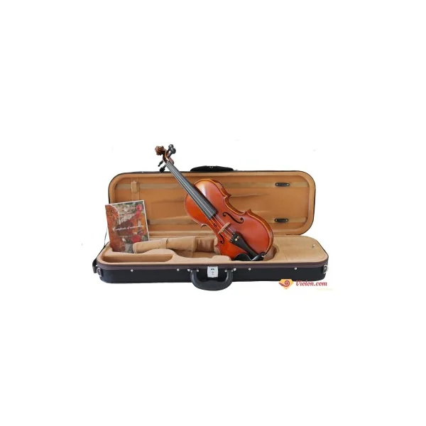 Violon Maestro unique S.J. modèle Guarneri