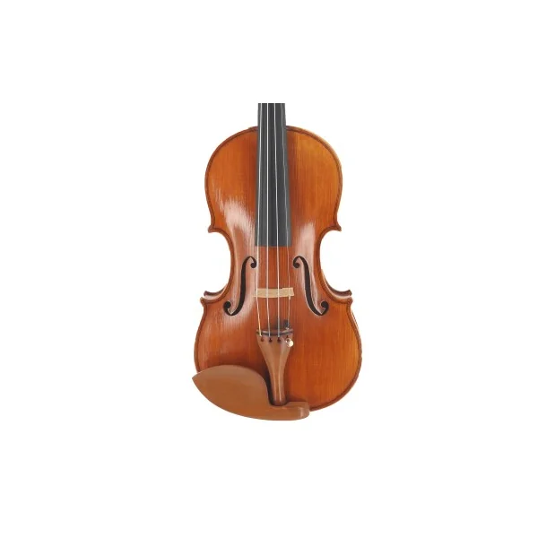 Violon maestro Unique SJ Modèle Guarneri