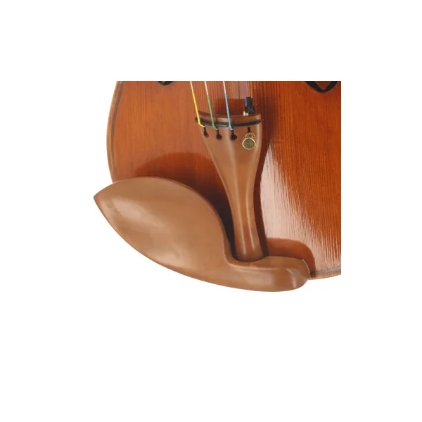 Violon maestro Unique SJ Modèle Guarneri