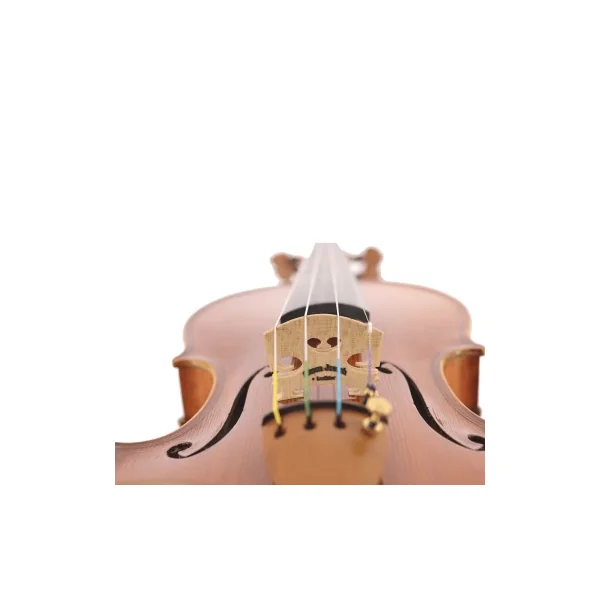 Violon maestro Unique SJ Modèle Guarneri