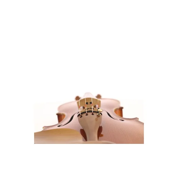 Violon Maestro unique SJ modèle Guarneri
