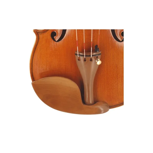 Violon Maestro unique SJ modèle Guarneri