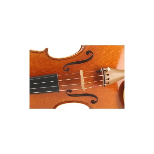 Violon Maestro unique SJ modèle Guarneri