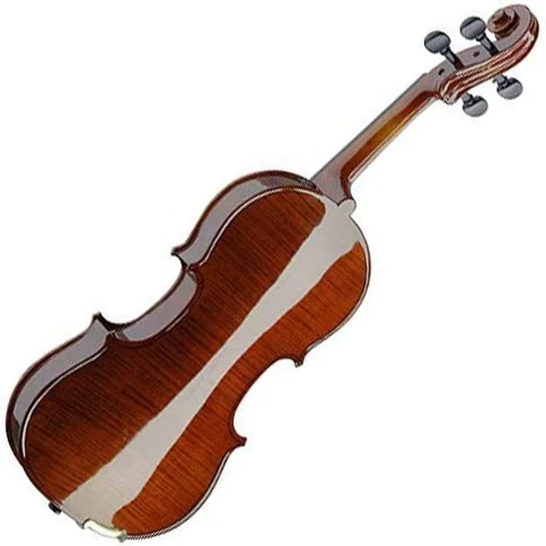 Violon STAGG VN4/4-SB 4/4 SET