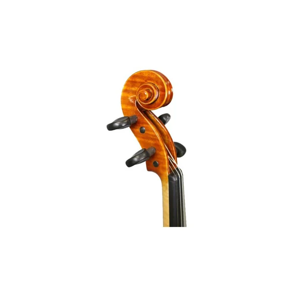 Violon électrique RG-EVIOLINS CLV-4