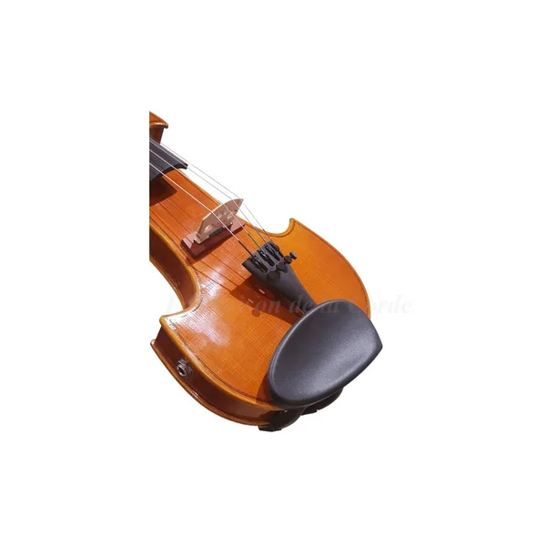 Violon électrique RG-EVIOLINS CLV-4