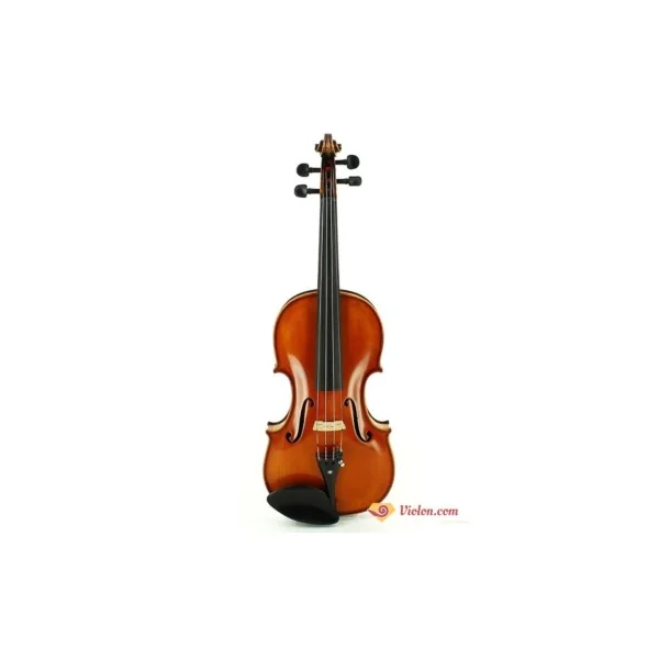 Violon électro-acoustique Gliga Avancé naturel gaucher