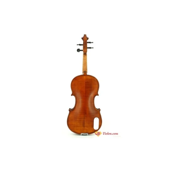 Violon électro-acoustique Gliga Avancé naturel gaucher