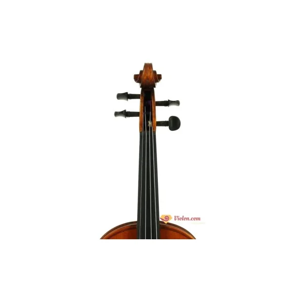 Violon électro-acoustique Gliga Avancé naturel gaucher