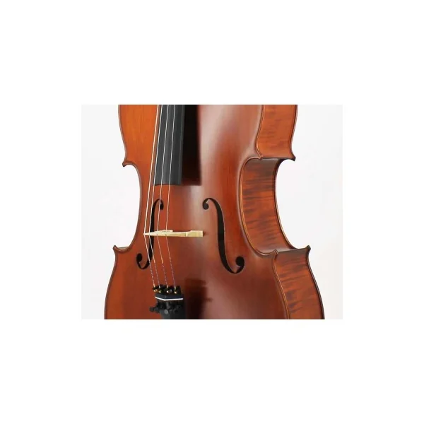 Violoncelle Gliga Gama 7/8