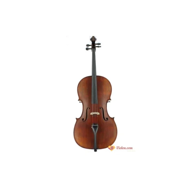Violoncelle Gliga Gems 2 antique 4/4 gaucher