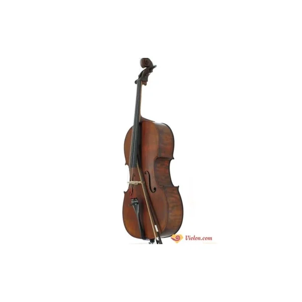 Violoncelle Gliga Gems 2 antique 4/4 gaucher