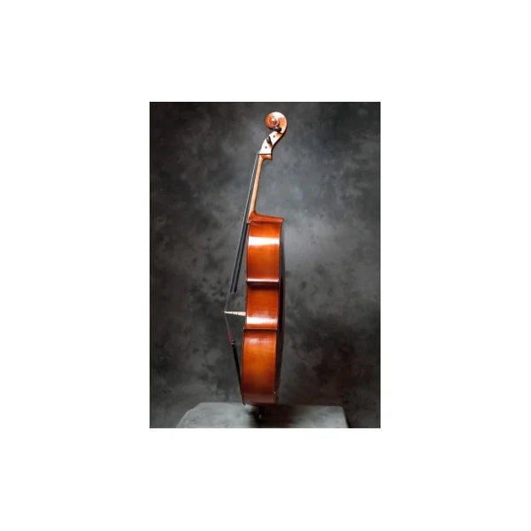 Violoncelle Gliga Genial 2 massif 1/8