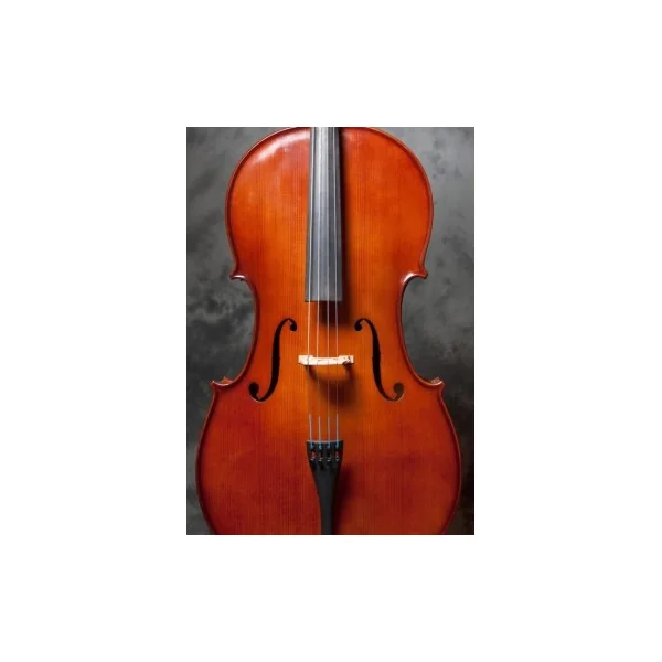 Violoncelle Gliga Genial 2 massif 1/8