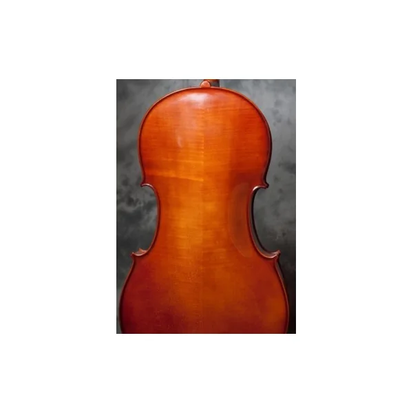 Violoncelle Gliga Genial 2 massif 1/8