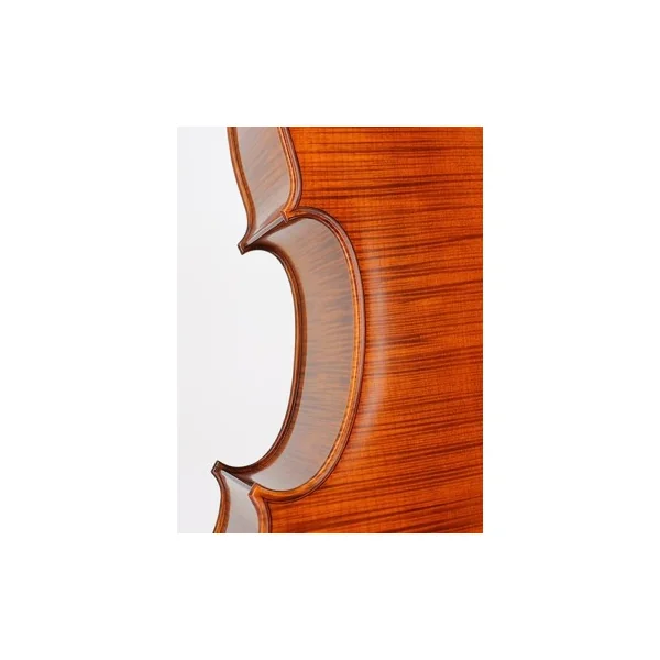 Violoncelle Gliga Maestro Vasile 7/8