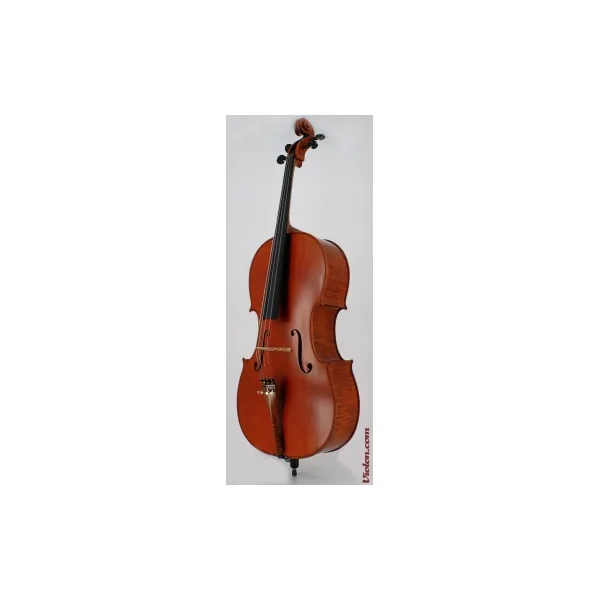 Violoncelle Gliga Maestro Vasile 7/8